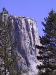 El_Capitan_through_trees.jpg