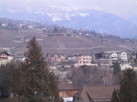 Vineyards_on_the_Northern_Hills.jpg